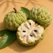 Custard Apple