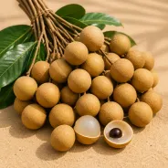 Longan
