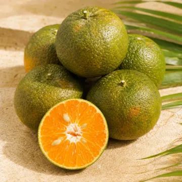 Orangen